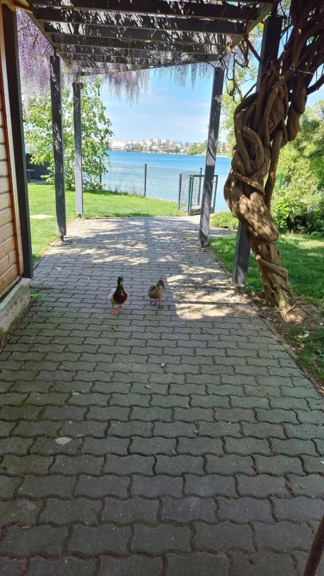 Topsenec-Lakeside Home Esterno foto